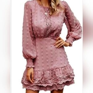 Simplee Pink Size S Long Sleeve Jacquard Chiffon Mini Lace Dress Swiss D…
